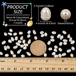 2連天然淡水養殖真珠ビーズ連  ライス  貝殻色  5~7x4~5mm  穴：0.6mm  約49~51個/連  13.58インチ（34.5cm）&nbsp;PEAR-NB0002-56
