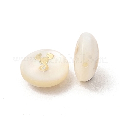 天然淡水シェルビーズ  サソリのフラットラウンド  貝殻色  7.5~8x4.5~5mm  穴：0.6~0.9mm&nbsp;BSHE-E026-02