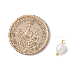 天然養殖淡水真珠ライスチャーム  真鍮ボールループ付き  乳白色  ゴールドカラー  11~11.5x5.5~6mm  穴：1.7~2mm&nbsp;PALLOY-JF04187-02