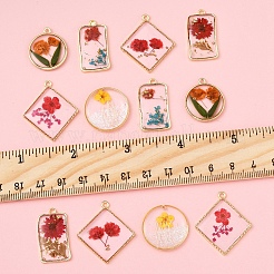 12 個 6 スタイル無色透明エポキシレジンペンダント  内側の花と縁に金メッキの合金ループチャーム  混合図形  22~30x14.5~26.5x3~3.8mm  穴：1.4mm  2個/スタイル&nbsp;RESI-FS0001-88A