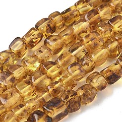 天然琥珀ビーズ連売り  ナゲット  タンブルストーン  5~6x5~6x4.5~5.5mm  穴：0.7mm  約73個/連  15.16インチ（38.5cm）&nbsp;G-L095-E01-06