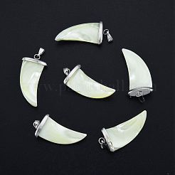 ナチュラルトロシシェル/トロカスシェルペンダント  プラチナトーン鉄パーツ  チリチャーム  33~35x13~16x6~7mm  穴：2x6mm&nbsp;SSHEL-G024-06P