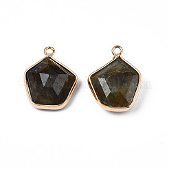 天然石ラブラドライトペンダント  ゴールデントーン真鍮パーツ  多面カット  五角形  18~19.5x14~15x6mm  穴：1.6mm&nbsp;G-S359-381