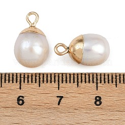 天然真珠のラウンドチャーム  真鍮パーツ  ホワイト  ゴールドカラー  14.5~15x8.5~9.5mm  穴：1.8mm&nbsp;KK-D423-09G