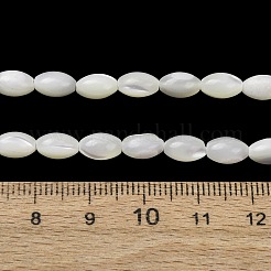 天然トロチッドシェル/トロカスシェルビーズ連売り  ライス  ホワイト  8x5mm  穴：0.8mm  約24個/連  7.40''（18.8センチメートル）&nbsp;SH-CBA2978-09