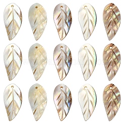 天然淡水貝彫刻ペンダント10個  葉のチャーム  21~22x9~10x1.5~2.5mm  穴：1mm&nbsp;SHEL-YW0001-10
