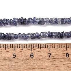 天然のアイオライトビーズ連売り  フラットナゲット  タンブルストーン  3~4.5x4~5x1~2mm  穴：0.6mm  13.31''~15.04''（33.8~38.2センチメートル）&nbsp;G-K427-C01-01