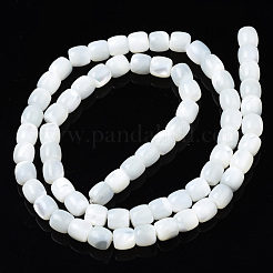 天然トロチッドシェル/トロカスシェルビーズ連売り  漂白  コラム  ホワイト  6x5.5mm  穴：0.8mm  約68~69個/連  15.47インチ〜15.75インチ（39.3~40cm）&nbsp;SSHEL-N034-121-B01