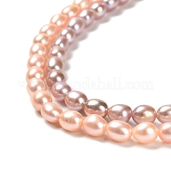 天然養殖淡水パールビーズ連売り  ライス  グレード5 A  カラフル  5.5~6.5x4.5~5mm  穴：0.5mm  約61個/連  14.61''（37.1センチメートル）&nbsp;PEAR-E016-165