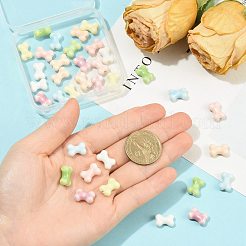 42 個 7 色の手作り磁器ビーズ  骨の形状  光沢釉の磁器  ミックスカラー  9.5x14x6mm  穴：1.9mm  6個/カラー&nbsp;PORC-FS0001-57