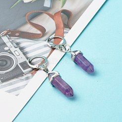 女の子の女性のための弾丸天然アメジストフープピアス  304ステンレススチール製金具付き  46mm  ピン：0.6mm&nbsp;EJEW-JE04636-03