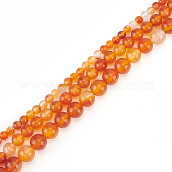 3連売り 3スタイル 天然カーネリアンビーズ連売り  ラウンド  4~8mm  穴：1mm&nbsp;G-GO0001-06