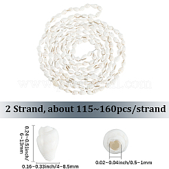 2連売り天然トランペットシェルビーズ連売り  シェル形状  ホワイト  6~13x4~8.5mm  穴：0.5~1mm  約115~160個/連  37.01~50インチ&nbsp;SHEL-LT0001-01