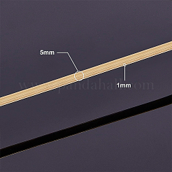 ジュエリー製作用半円形真鍮線  生（メッキなし）  5x1mm&nbsp;CWIR-WH0003-02-B
