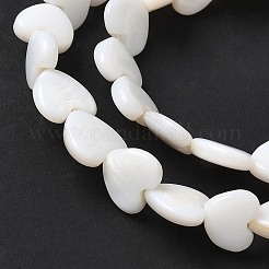 天然淡水シェルビーズ連売り  ハート  貝殻色  7~9x8.5~9x2.5~3mm  穴：0.9mm  約54個/連  15.20インチ（38.6cm）&nbsp;SSHEL-C013-05