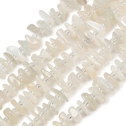 天然ホワイトムーンストーンビーズ連売り  ナゲット  7.5~13x6~13x2~5mm  穴：0.9mm  約68~86個/連  15.35~15.75''（39~40センチメートル）&nbsp;GG-CBA3A44-B03-01