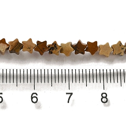 天然石ピクチャージャスパービーズ連売り  スター  4x4.5x2mm  穴：0.8mm  約102個/連  15.35インチ（39cm）&nbsp;G-G085-B20-01