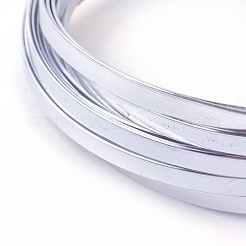アルミ製ワイヤー  フラット  銀  10x1mm  約5m /ロール&nbsp;AW-L001-C-02