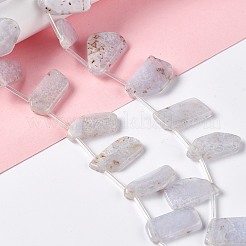 天然石ブルーレースアゲートビーズ連売り  トップ掘削  ナゲット  18~28x9~14x3~4.5mm  穴：1mm  約21個/連  7.87''（20センチメートル）&nbsp;G-I329-01