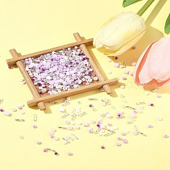 ガラスシードビーズ2セット  混合図形  DIY ネックレス ブレスレット アクセサリー  プラム  2.5~7.5x2~4.5x2~4.5mm  穴：0.8~1.4mm&nbsp;DIY-FS0008-27D