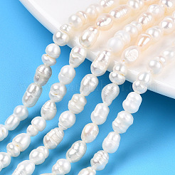 天然養殖淡水パールビーズ連売り  バロックケシパールライスビーズ  貝殻色  5~10.5x4~6.5mm  穴：0.6mm  約28~29個/連  7.09~7.36インチ（18~18.7cm）&nbsp;X-PEAR-N012-04R