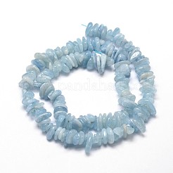 天然アクアマリンチップさざれビーズ連売り  5~14x4~10mm  穴：1mm  約39~40 CM&nbsp;G-E271-96