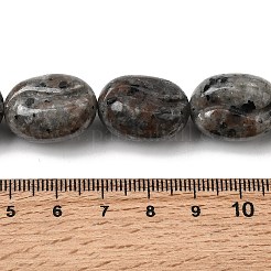 天然蛍光閃長岩 (UV ライトの下で光る) ビーズ 連売り  コー​​ヒー豆  15.5x20x13mm  穴：1mm  約20個/連  15.75''（40センチメートル）&nbsp;G-K362-D02-03