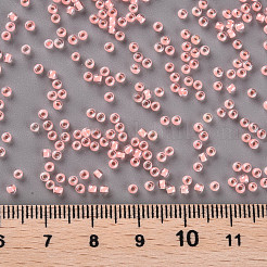 12/0 FGBグレードAラウンドガラスシードビーズ  透明インサイドカラー  光沢メッキ  ライトサーモン  2.3x1.5mm  穴：1mm  約48500個/ポンド&nbsp;SEED-N001-F-232