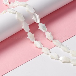 天然トロチッドシェル/トロカスシェルビーズ  手  貝殻色  16x11.5x2.5~3mm  穴：0.9mm  約25個/連  15.75インチ（40cm）&nbsp;SSHEL-O001-23B