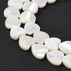 天然ホワイトシェルビーズ連売り  ハート  貝殻色  9.5~10x10~10.5x2.5~3mm  穴：0.7mm  約42個/連  14.96インチ（38cm）&nbsp;SSHEL-C013-06