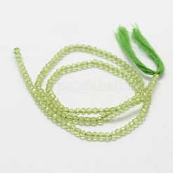 天然ペリドットビーズ連売り  多面カット  ラウンド  3mm  穴：0.5mm  約120~124個/連  38cm&nbsp;X-G-P271-3mm-12