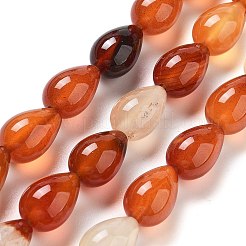 天然石赤瑪瑙ビーズ連売り  ティアドロップ  12x8mm  穴：1.2mm  約33~34個/連  15.16~16.54''（38.5~42センチメートル）&nbsp;G-B106-A22-02
