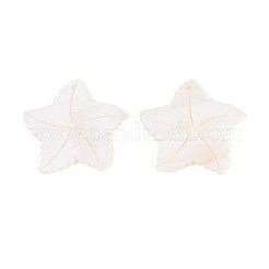 天然淡水貝の彫刻ペンダント  ヒトデのチャーム  貝殻色  33~33.5x34.5~35x3mm  穴：1.6mm&nbsp;SHEL-T020-64