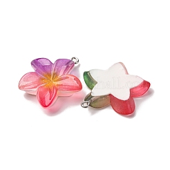 透明樹脂ペンダント  花  プラチナ鉄ループ付き  ミックスカラー  29~30.5x27~30x6.5mm  穴：2mm&nbsp;RESI-A046-05F