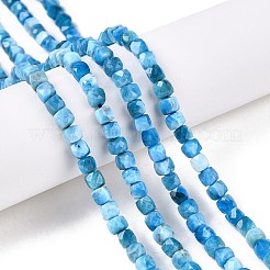 天然石アパタイトビーズ連売り  多面カット  キューブ  4~5x4~5x4~5mm  穴：0.8mm  約92~105個/連  14.96~15.35インチ（38~39cm）&nbsp;G-N342-122