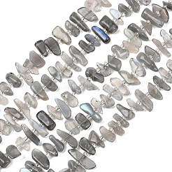 天然石ラブラドライトビーズ連売り  グレードA  チップ  シードビーズで  11~19x4~7x4~7mm  穴：0.8mm  約56~58個/連  15.55~15.75インチ（39.5~40cm）&nbsp;G-C273-B01
