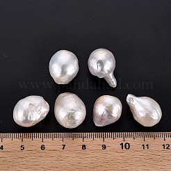 天然バロックパールケシパールビーズ  養殖淡水パール  穴なし/ドリルなし  ナゲット  貝殻色  17~21x14~16x12~14mm&nbsp;PEAR-N020-J01