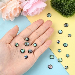 20個 2種類の天然パウア貝カボション  半円/ドーム  8~10x2~3mm  10個/スタイル&nbsp;SHEL-YW0001-09
