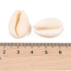 天然カウリーシェルビーズ  オーバル  穴なし/ドリルなし  ビスク  20~23x14~20x9~13mm&nbsp;BSHE-Q296-1