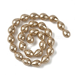 電気めっきシェルパールビーズ連売り  涙の形  ゴールド  15~16x12mm  穴：1.2mm  約26個/連  15.94''（40.5センチメートル）&nbsp;SH-CBA6AE6-01A