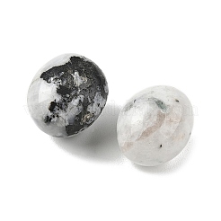 天然レインボームーンストーンビーズ  転がった石  穴なし/ドリルなし  ナゲット  20~56x18~30.5x8~28mm&nbsp;G-G348-01B-36