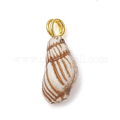 アクリルチャーム  真鍮製のループ  巻き貝  ゴールドカラー  14x6x5mm  穴：2mm&nbsp;PALLOY-JF02589