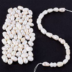 天然養殖淡水パールビーズ連売り  ライス  貝殻色  7~9x6~7mm  穴：0.5mm  約22~23個/連  7.09インチ（18cm）  5連売り/ボックス&nbsp;PEAR-NB0001-46