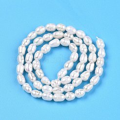 天然養殖淡水パールビーズ連売り  ライス  乳白色  3.5~6x4~4.5mm  穴：0.7~0.8mm  約59~60個/連  13.58''（34.5センチメートル）&nbsp;PEAR-N012-04S