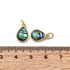 エポキシ樹脂と天然パウア貝のティアドロップチャーム  真鍮のセッティングと丸カン付き  ラックめっき  長持ちメッキ  鉛フリー＆カドミウムフリー  18KGP本金メッキ  13x8.5x3mm  穴：3mm&nbsp;KK-K384-09G