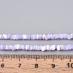 天然トロチッドシェル/トロカスシェルビーズ連売り  染め  フラットラウンド  ライラック  2.5~3.5x0.2~3mm  穴：0.5~0.6mm  約270~290個/連  14.96~15.35インチ（38~39cm）&nbsp;SSHEL-N040-21D