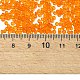 ガラスシードビーズ  トランスペアレント  ラウンド  オレンジ  12/0  2mm  穴：1mm  約30000ビーズ/ポンド&nbsp;SEED-A004-2mm-9-4