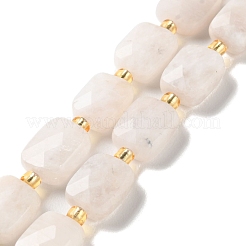 天然レインボー ムーンストーン ビーズ 連売り  多面カット  長方形  10x8x4.5mm  穴：1mm  約31個/連  15.35''（39センチメートル）&nbsp;G-H061-A12-01