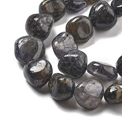 天然のアイオライトビーズ連売り  ナゲット  8~15x5.5~12x4.5~10.5mm  穴：1~1.2mm  約40~42個/連  15.94''~16.34''（40.5~41.5センチメートル）&nbsp;G-C179-F06-01