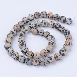 天然石ダルメシアンジャスパービーズ連売り  艶消し  ラウンド  6~6.5mm  穴：1mm  約58~61個/連  14.5インチ&nbsp;G-Q462-6mm-05